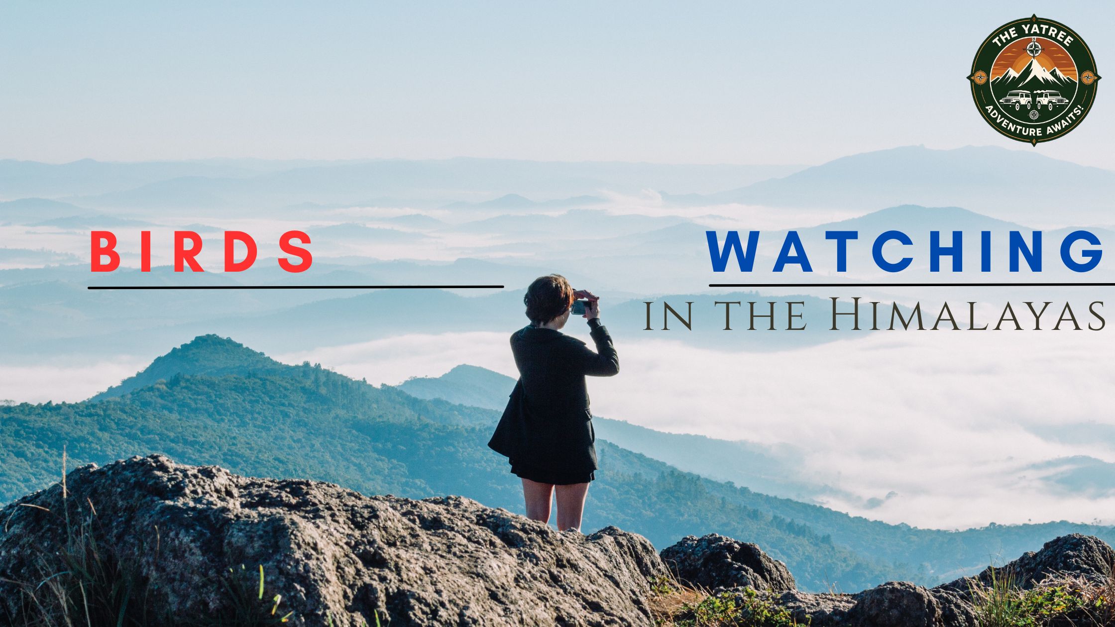 Image of Bird Watching in the Himalayas